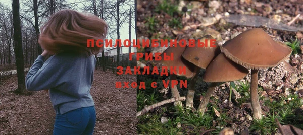 ГАЛЛЮЦИНОГЕННЫЕ ГРИБЫ Верхнеуральск