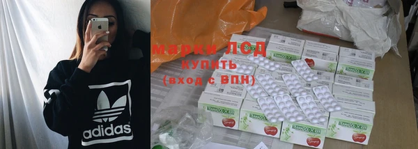 PSILOCYBIN Верея