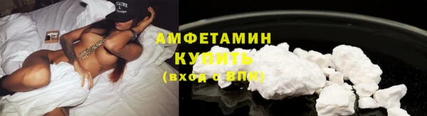 PSILOCYBIN Верея