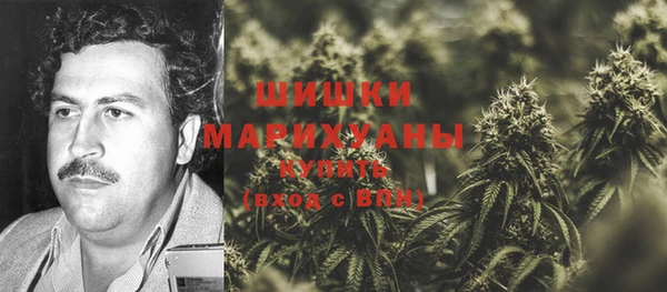PSILOCYBIN Верея