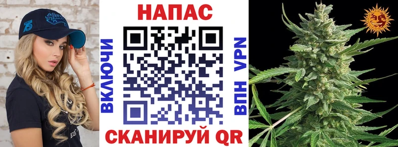 наркотики  Шагонар  МАРИХУАНА OG Kush 